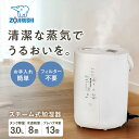 【ふるさと納税】象印 EE-RU50-WA スチーム式加湿器｜清潔・静音・お手入れ簡単で人気